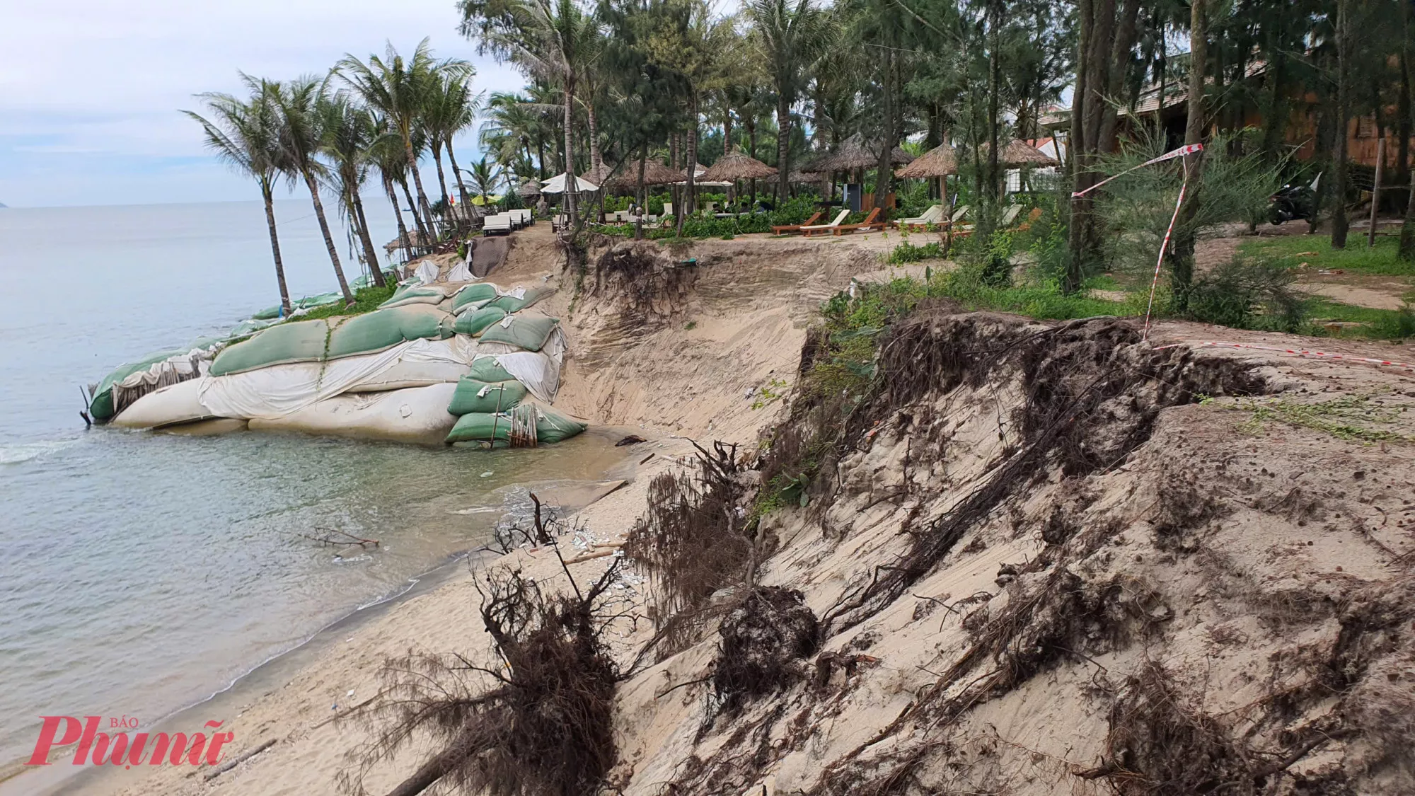 Giải pháp từ Trường Đại học Thủy lợi góp phần tôn tạo, ổn định bãi biển Đà Nẵng
