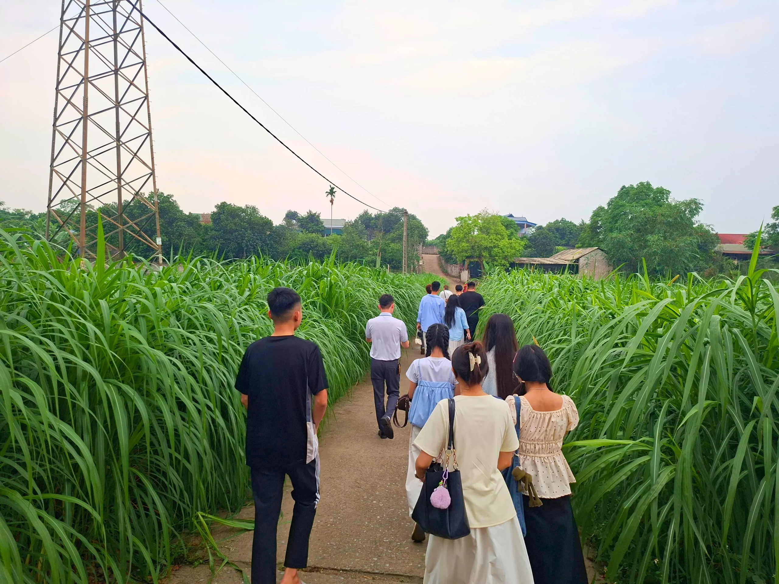 Sinh viên Trường Đại học Thủy lợi trải nghiệm thực tế nhân dịp Tết Bunpimay của Lào