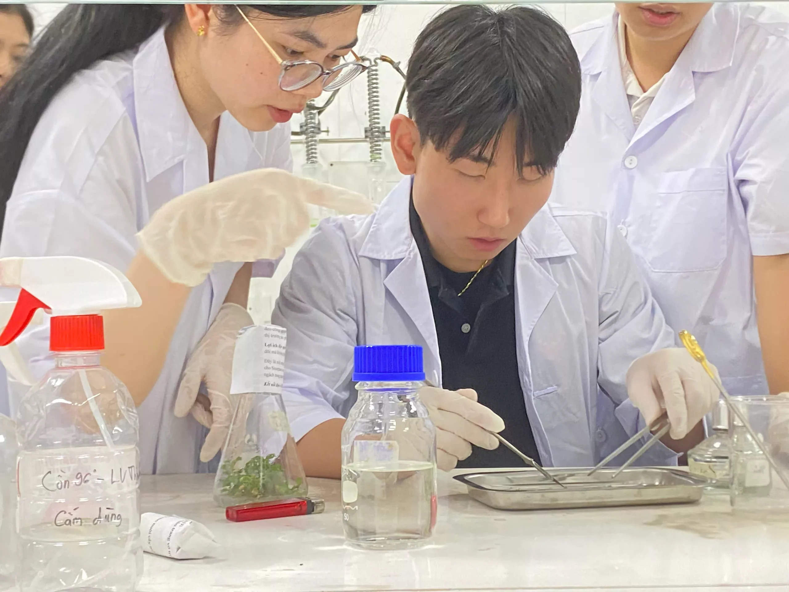 Sinh viên Đại học Chosun trải nghiệm học tập và thực hành Công nghệ sinh học tại Trường Đại học Thủy lợi